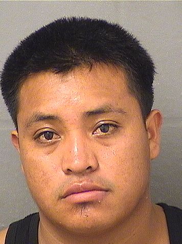 CARLOS HUMBERTO COTONONIXEN Results from Palm Beach County Florida for CARLOS HUMBERTO COTONONIXEN CARLOS HUMBERTO COTONONIXEN Results from Palm Beach County Florida for CARLOS HUMBERTO COTONONIXEN