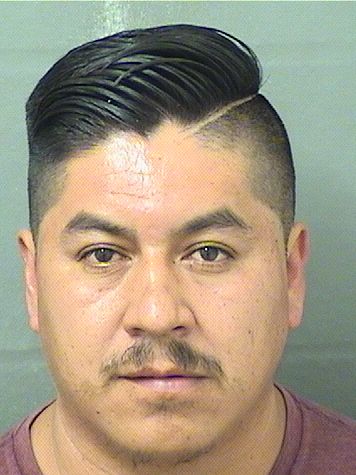  NICOLAS PADRONMALDONADO Photo For  NICOLAS PADRONMALDONADO