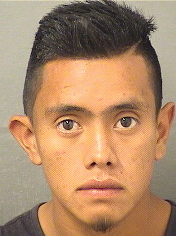  NICOLAS JIMENEZALVARADO Photo For  NICOLAS JIMENEZALVARADO