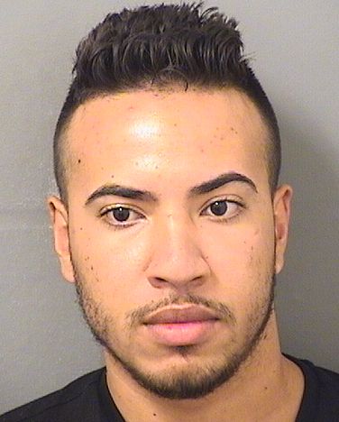  ELIESER GUILLENGONGORA Results from Palm Beach County Florida for  ELIESER GUILLENGONGORA