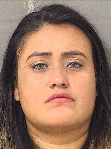  VERONICA PATRICIA LOPEZ Results from Palm Beach County Florida for  VERONICA PATRICIA LOPEZ