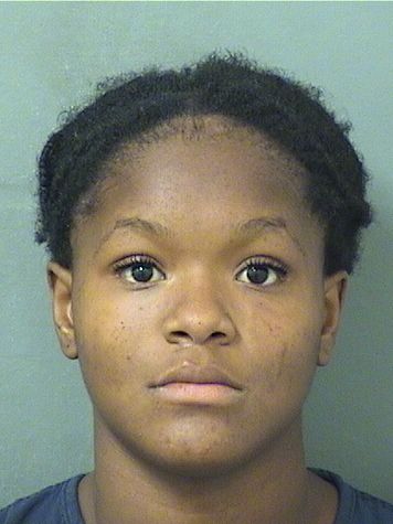  SHAKERA ROYALE HAY Results from Palm Beach County Florida for  SHAKERA ROYALE HAY