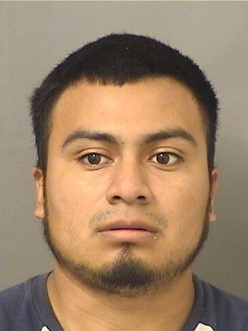 BRANDON ALEXANDER VELASQUEZORTIZ Results from Palm Beach County Florida for BRANDON ALEXANDER VELASQUEZORTIZ BRANDON ALEXANDER VELASQUEZORTIZ Results from Palm Beach County Florida for BRANDON ALEXANDER VELASQUEZORTIZ