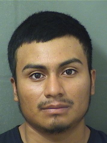  BRANDON ALEXANDER VELASQUEZORTIZ Results from Palm Beach County Florida for  BRANDON ALEXANDER VELASQUEZORTIZ