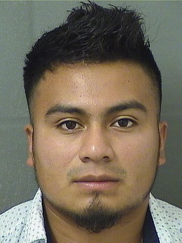  BRANDON VELASQUEZORTIZ Resultados de la busqueda para Palm Beach County Florida para  BRANDON VELASQUEZORTIZ