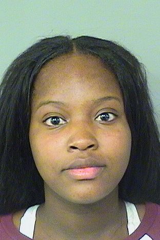  ARIANA DAKOTA STEPHEN Results from Palm Beach County Florida for  ARIANA DAKOTA STEPHEN