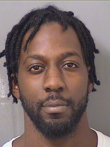  DONSHAE LAMAR TURNER Results from Palm Beach County Florida for  DONSHAE LAMAR TURNER