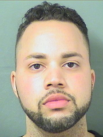  KYLE CONNELL JONES Results from Palm Beach County Florida for  KYLE CONNELL JONES