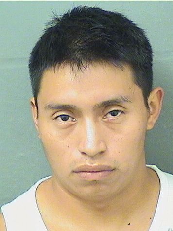  ELISEO ANTONIO VAILVELASQUEZ Results from Palm Beach County Florida for  ELISEO ANTONIO VAILVELASQUEZ