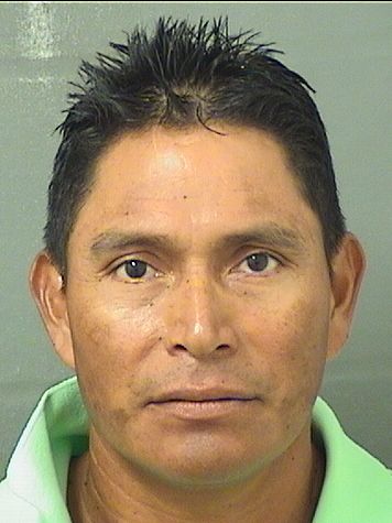  FRANCISCO RODRIGUEZ Resultados de la busqueda para Palm Beach County Florida para  FRANCISCO RODRIGUEZ