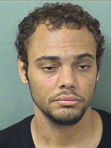  DAVID HUGHES Resultados de la busqueda para Palm Beach County Florida para  DAVID HUGHES