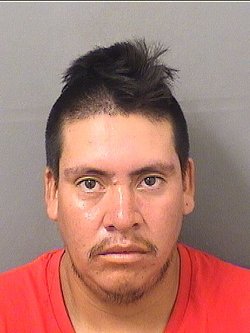  UBALDO GARCIACHAJ Results from Palm Beach County Florida for  UBALDO GARCIACHAJ