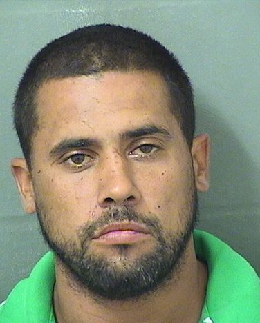  CARLOS WILLIAM MOLINA Results from Palm Beach County Florida for  CARLOS WILLIAM MOLINA