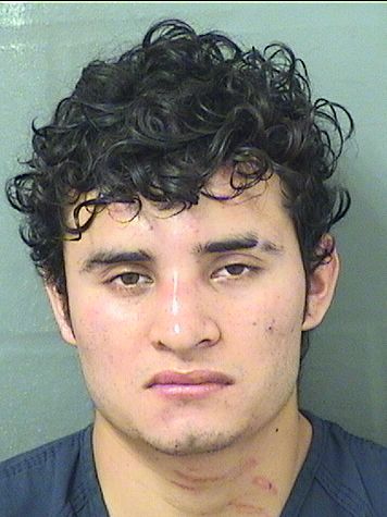  ELMER GALINDONORIEGA Results from Palm Beach County Florida for  ELMER GALINDONORIEGA