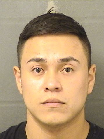  RONALDO A PEREZPEREZ Results from Palm Beach County Florida for  RONALDO A PEREZPEREZ