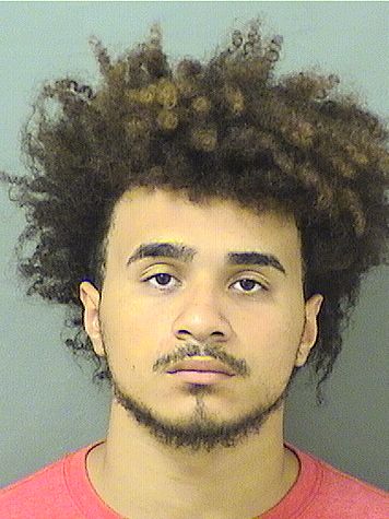  HENRY MARGARO SOTO Results from Palm Beach County Florida for  HENRY MARGARO SOTO