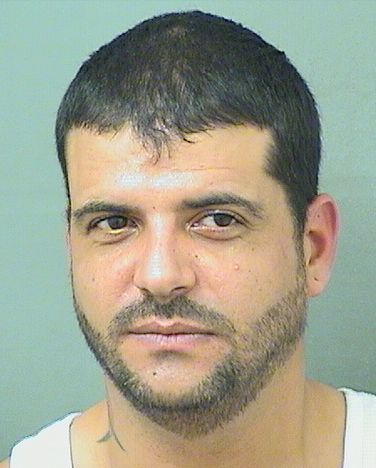  GUILLERMO QUINTANASUNOL Results from Palm Beach County Florida for  GUILLERMO QUINTANASUNOL