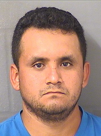  GILVERTO OROZCO VILLEGAS Results from Palm Beach County Florida for  GILVERTO OROZCO VILLEGAS
