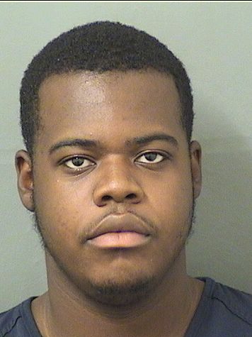  GREGORY PLACIDE Results from Palm Beach County Florida for  GREGORY PLACIDE