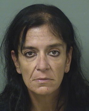  LISA ADELINE MCTEAGUE Results from Palm Beach County Florida for  LISA ADELINE MCTEAGUE