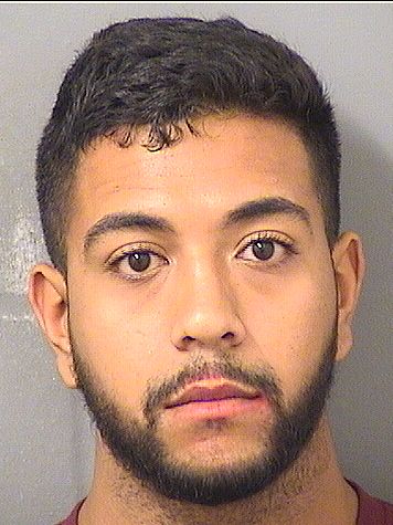  NICHOLAS AARON DEXTRE Results from Palm Beach County Florida for  NICHOLAS AARON DEXTRE