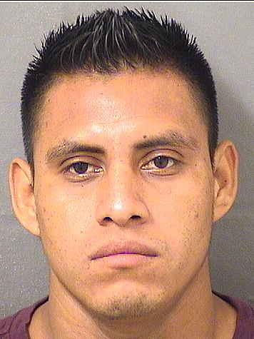  ELISANDRO EFRAIN PEREZLOPEZ Results from Palm Beach County Florida for  ELISANDRO EFRAIN PEREZLOPEZ