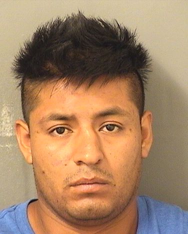  LUIS GERARDO LUZCONSTANZO Photo