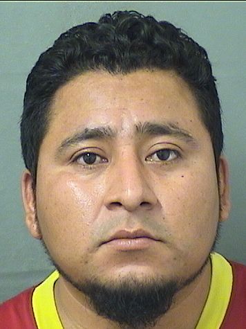  MARLON FEDERICO MEJIATUCUBAL Results from Palm Beach County Florida for  MARLON FEDERICO MEJIATUCUBAL