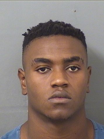  DIDERO STGERMAN Results from Palm Beach County Florida for  DIDERO STGERMAN