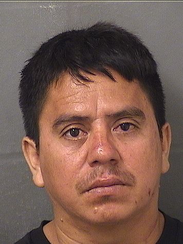  JOSE LUIS ALVARADOVILLATORO Photo