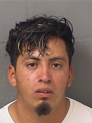  MARIO FRANCISCOFRANCISCO Photo