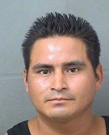  MIGUEL RAMIREZESTEBAN Results from Palm Beach County Florida for  MIGUEL RAMIREZESTEBAN