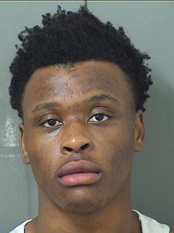  HICHNER SIMON Results from Palm Beach County Florida for  HICHNER SIMON