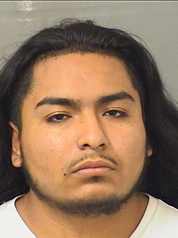  MIGUEL ANGEL ROMEROFLORES Results from Palm Beach County Florida for  MIGUEL ANGEL ROMEROFLORES