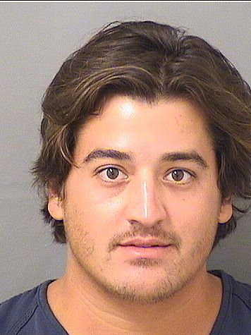  NICHOLAS ZAPETIS Resultados de la busqueda para Palm Beach County Florida para  NICHOLAS ZAPETIS