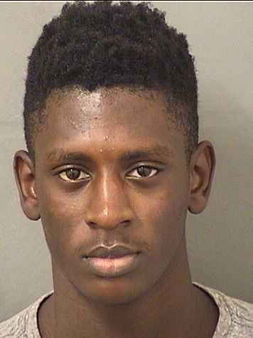  ZEUS CINEUS Results from Palm Beach County Florida for  ZEUS CINEUS