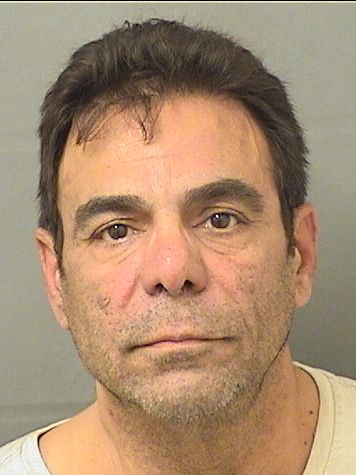  MICHAEL L LEONE Results from Palm Beach County Florida for  MICHAEL L LEONE