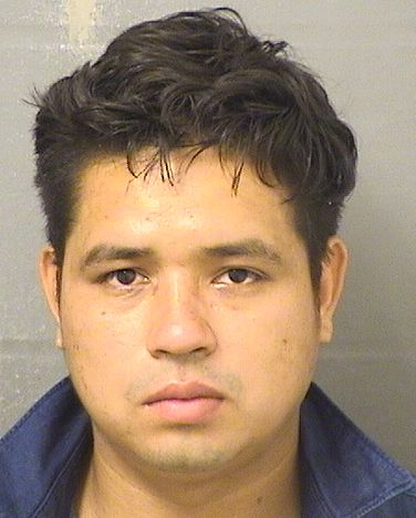  MANUEL CARDENAS Results from Palm Beach County Florida for  MANUEL CARDENAS