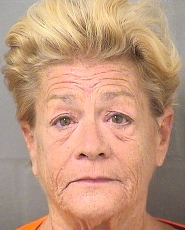  PATRICIA H BAURNSCHMIDT Results from Palm Beach County Florida for  PATRICIA H BAURNSCHMIDT