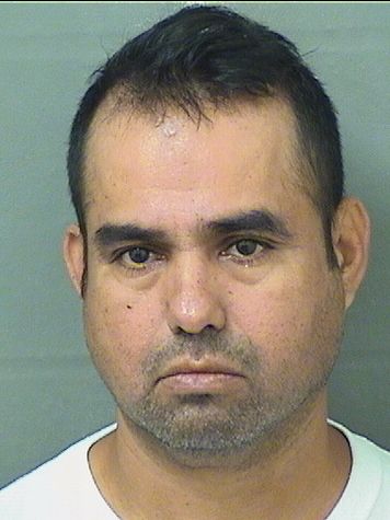  JOSE IGNACIO CALZADA Photo For  JOSE IGNACIO CALZADA