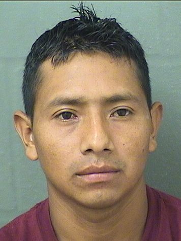  MANUEL MARCOSCARDONA Photo For  MANUEL MARCOSCARDONA