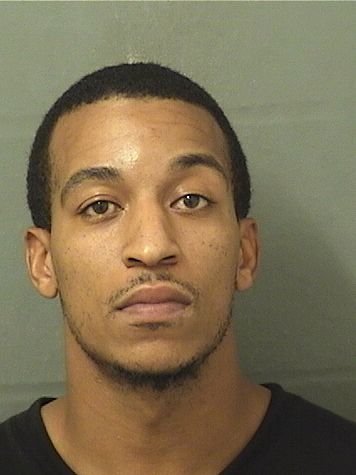  ANDRE TERRELL DENNIS Results from Palm Beach County Florida for  ANDRE TERRELL DENNIS