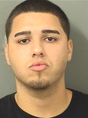  JOHNATHAN TYLER ECHEVARRIA Resultados de la busqueda para Palm Beach County Florida para  JOHNATHAN TYLER ECHEVARRIA