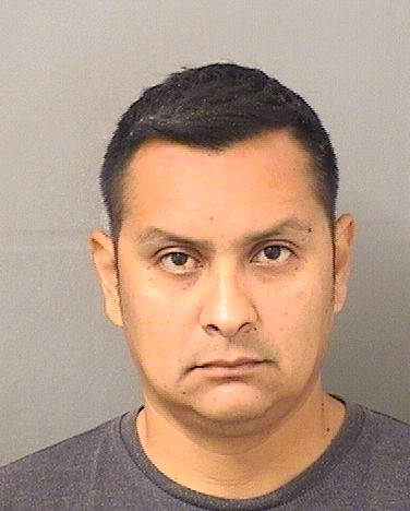  JONATHAN ALGARANAZ Results from Palm Beach County Florida for  JONATHAN ALGARANAZ