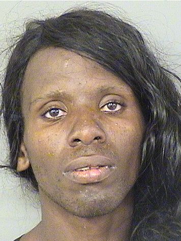  RODRICUS ANDRE JOHNSON Results from Palm Beach County Florida for  RODRICUS ANDRE JOHNSON