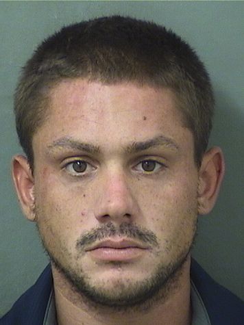  CRAIG C HEERLEIN Results from Palm Beach County Florida for  CRAIG C HEERLEIN