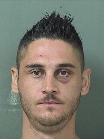  CHRISTOPHER RYANJOHNNICKLAS SULLIVAN Results from Palm Beach County Florida for  CHRISTOPHER RYANJOHNNICKLAS SULLIVAN