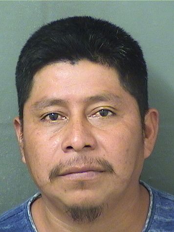  NOE AGUILAROLA Results from Palm Beach County Florida for  NOE AGUILAROLA