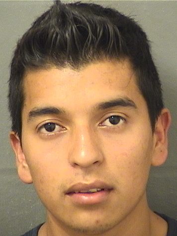  ELVERNOE MERIDAESCOBEDO Results from Palm Beach County Florida for  ELVERNOE MERIDAESCOBEDO