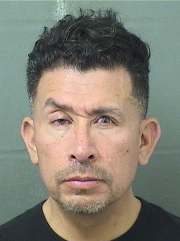  ALFREDO  Jr RAMOS Results from Palm Beach County Florida for  ALFREDO  Jr RAMOS